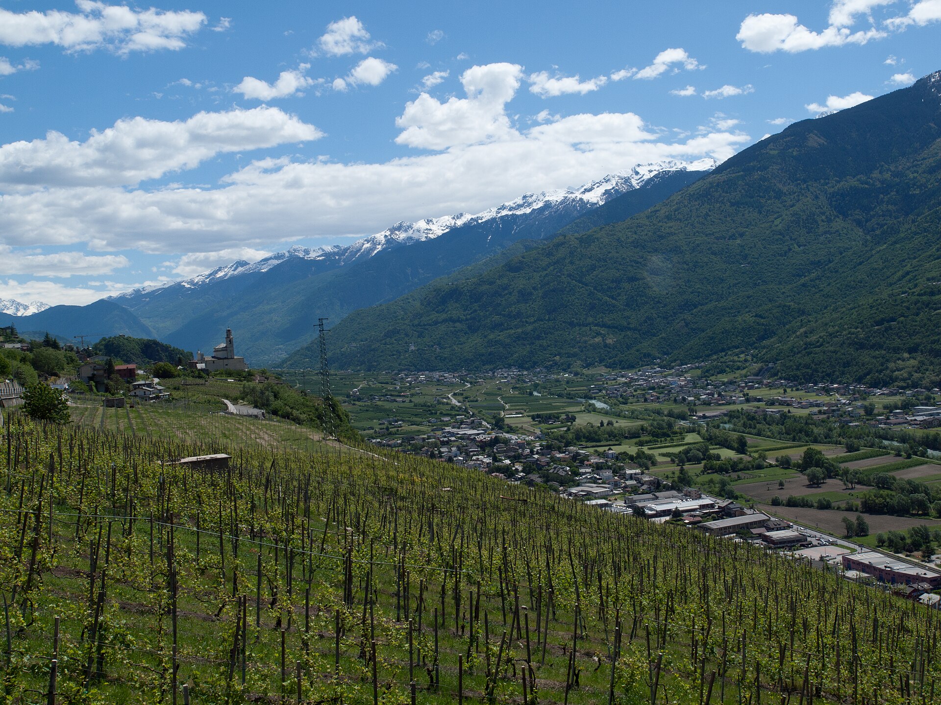 Terraced vineyards on the steep slopes of the Valtellina above the upper lake